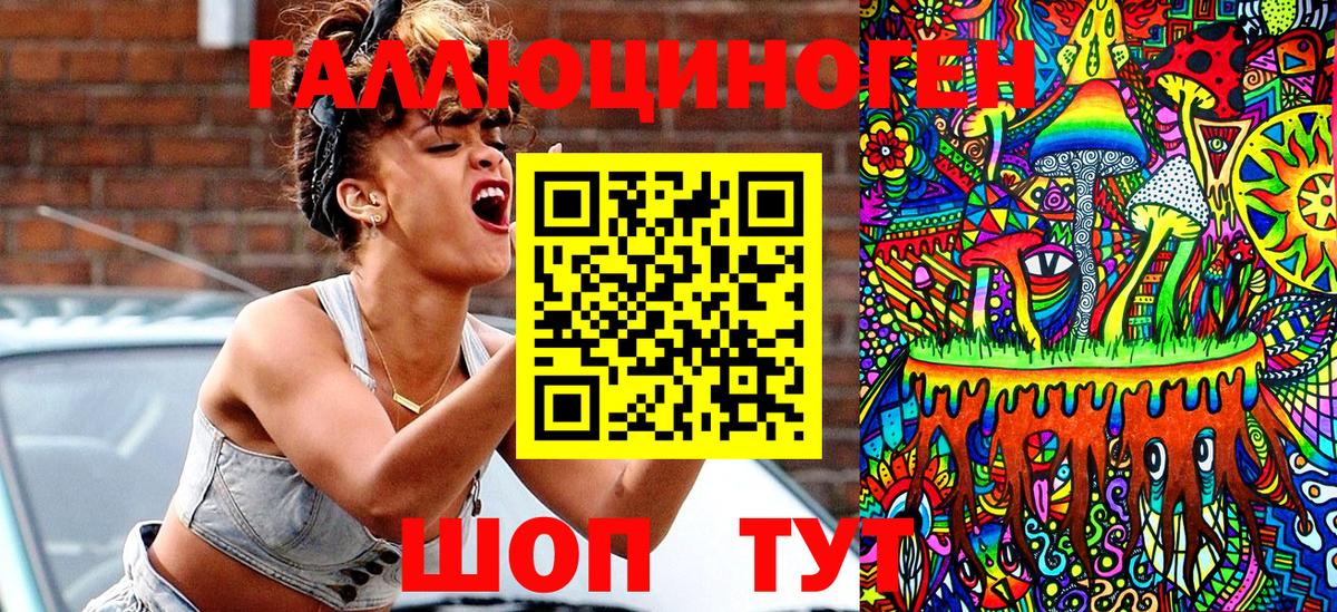 Элиста  Псилоцибиновые грибы GOLDEN TEACHER  Вход с VPN 