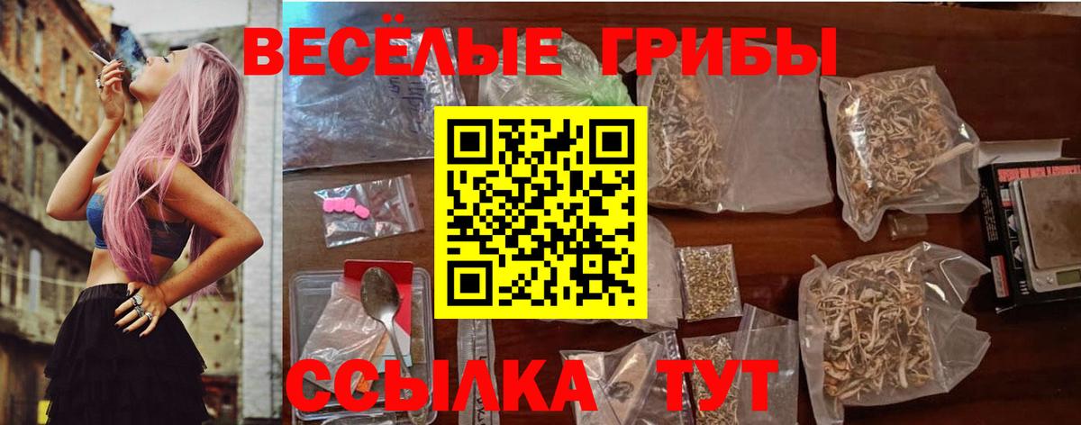 Галлюциногенные грибы Psilocybine cubensis Элиста