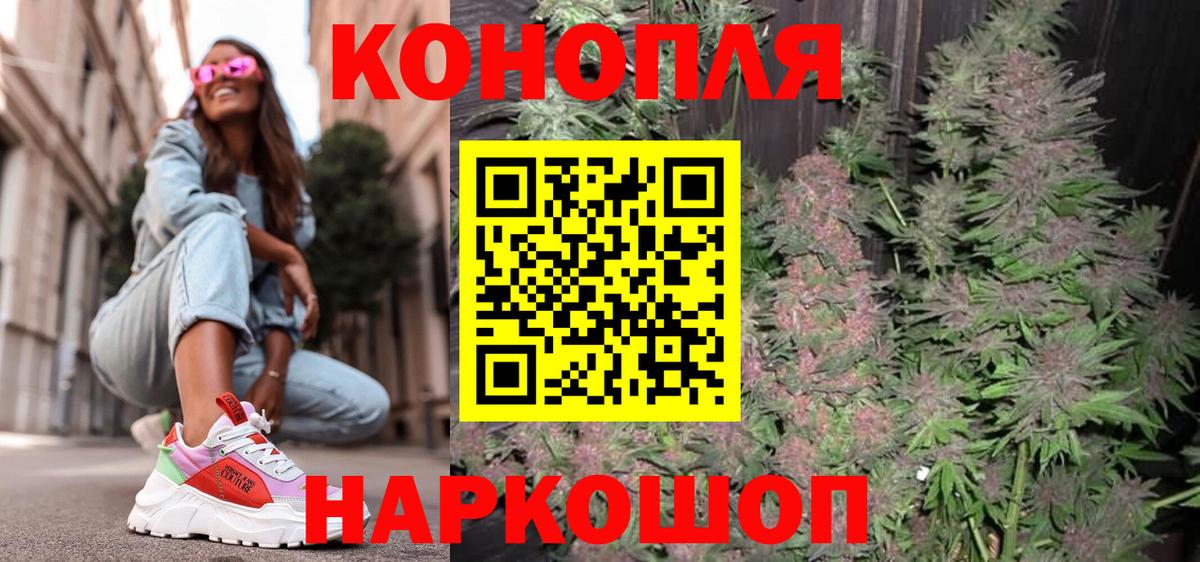 МАРИХУАНА конопля Элиста